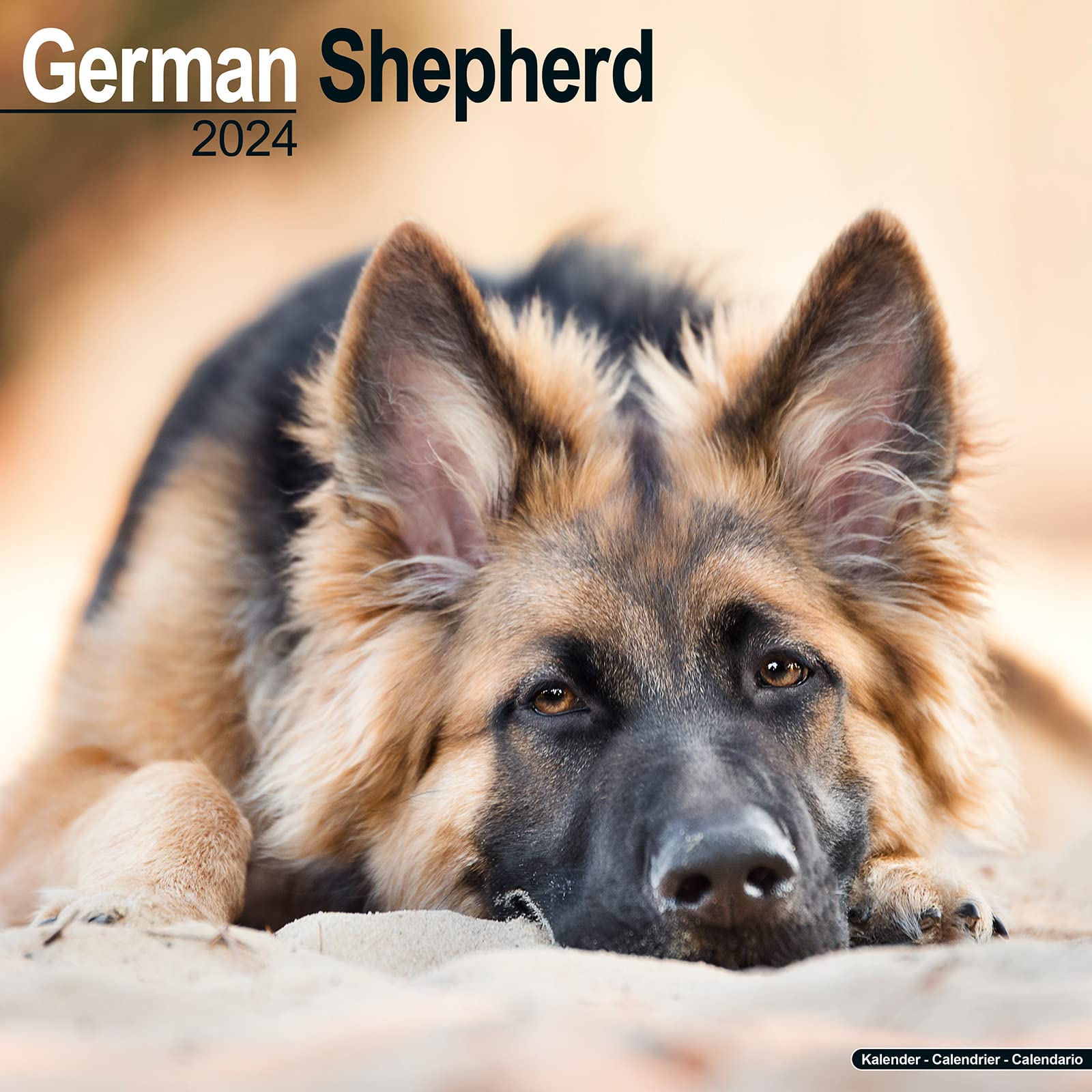 German Shepherd Calendar Dog Breed Calendars 2023 2024 wall