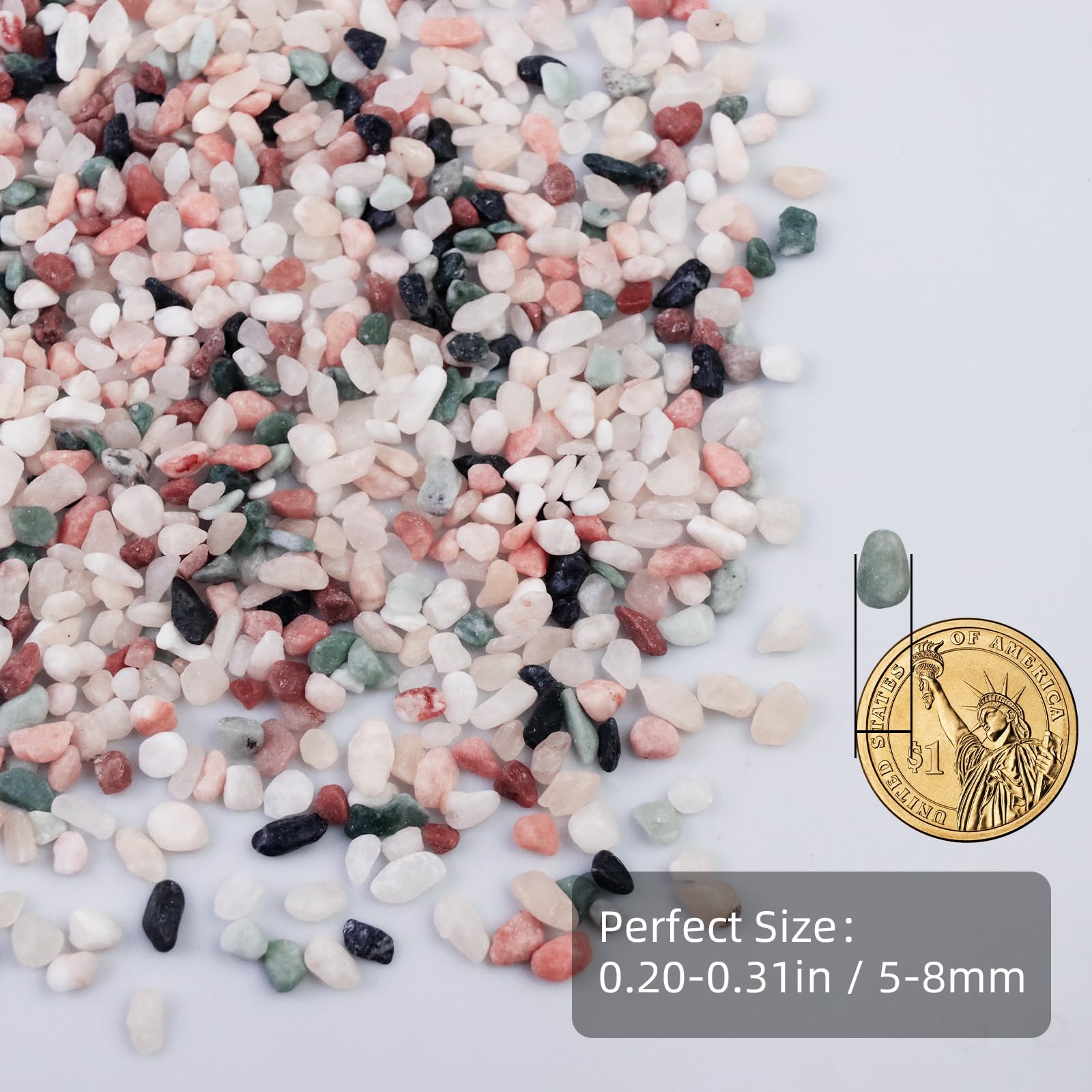 Gravier décoratif naturel de 2,3 kg, galets polis, idéal pour aquarium, vases, plantes grasses, décoration d'intérieur et aménagement paysager de jardin, campagne