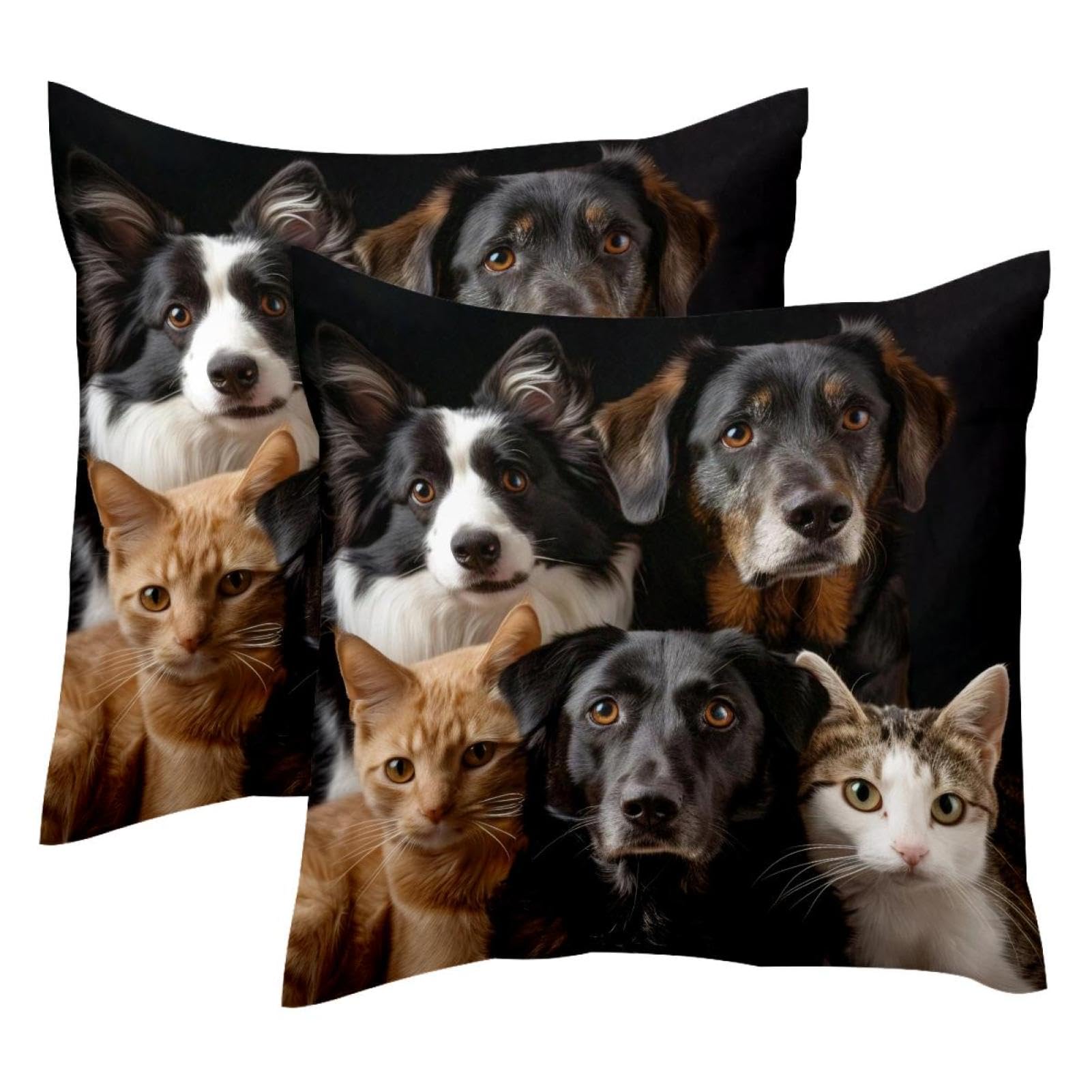 Housse de coussin velours 50x50 cm lot de 2 motif chat et chien