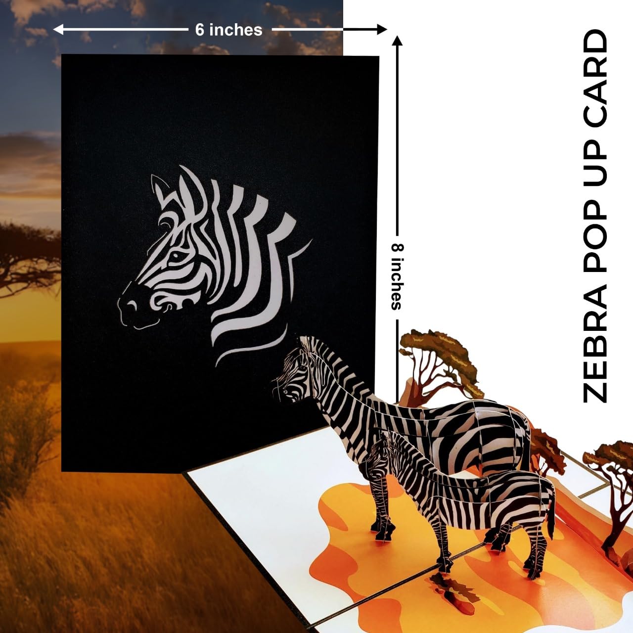 iGifts And Cards Awesome Zebras 3D - Tarjeta de felicitación desplegable para cumpleaños, amistad, agradecimiento, celebración, felicitaciones, todas las ocasiones, Miss You