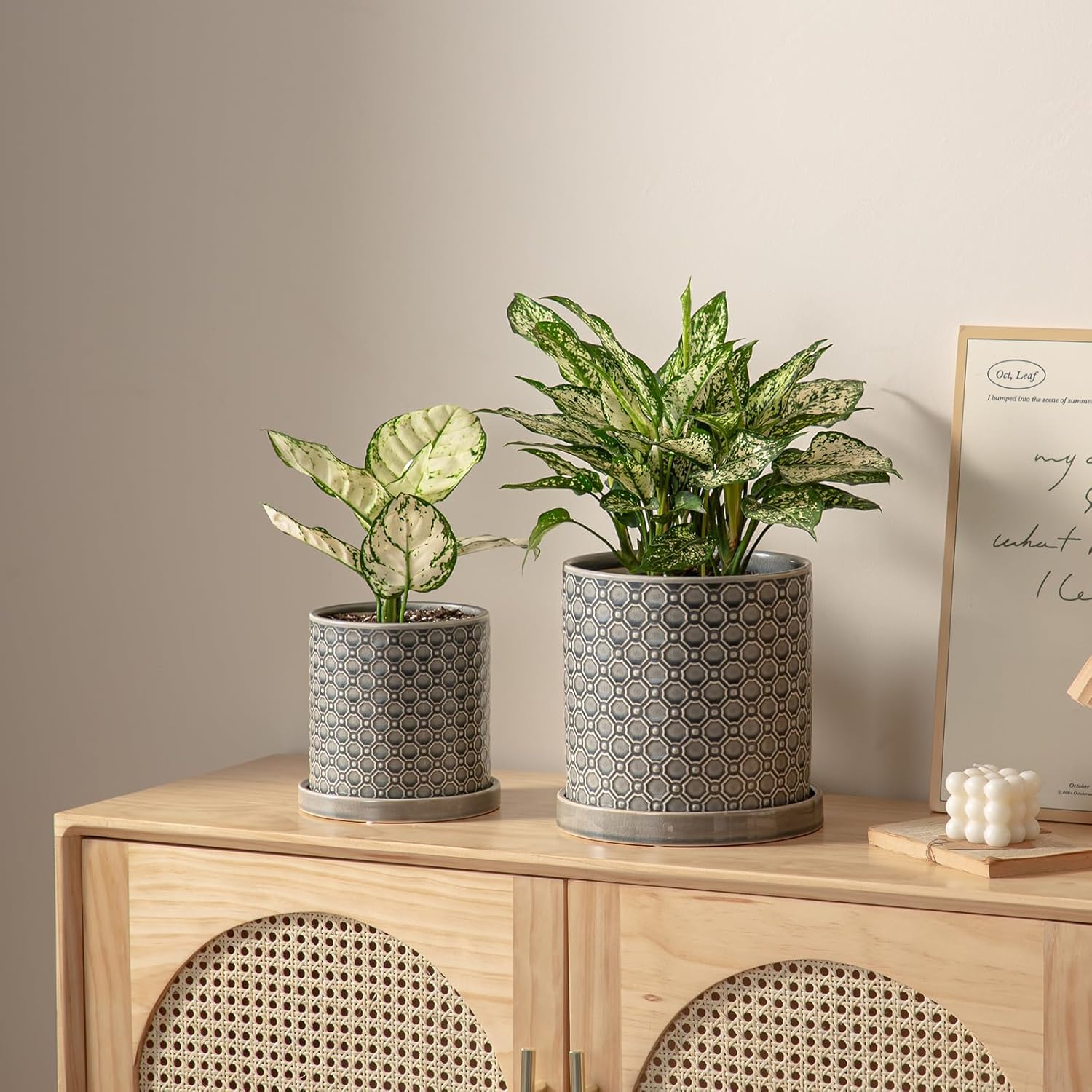 8 Inch Plant Pot: Ceramic Planter with Drainage Hole & Saucer Indoor Outdoor Plants - Cylinder Round Flower Pot for Home Office - Modern Decorative - Medium Grey - Image 7