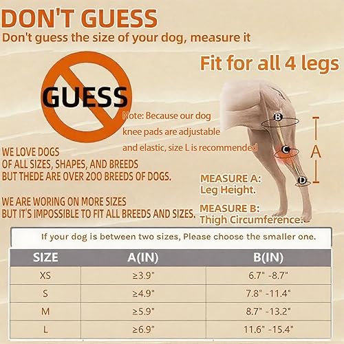 Miniatura 5 de Rodillera para perro para pierna trasera desgarrada, rodillera ajustable para perro, ayuda a aliviar desgarros del ligamento cruzado anterior