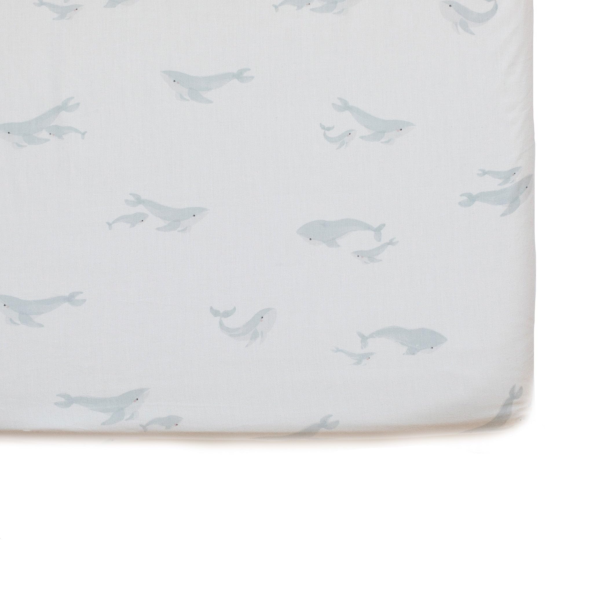 Pehr Crib Sheet, Follow Me Whale, Organic Cotton, 52" x 28" x 8"
