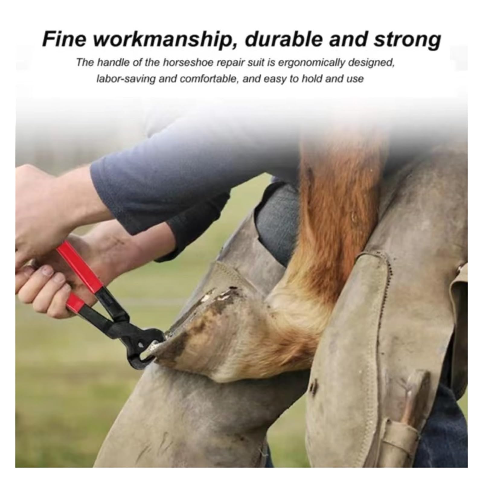 Herramientas Farrier, Juegos De Recorte Herradura 14 Pulgadas, Contienen Cepillo For Cuchillos Con Pinza For Caballos, Escofina For Pezuñas, Profesional 4 En 1 Hor