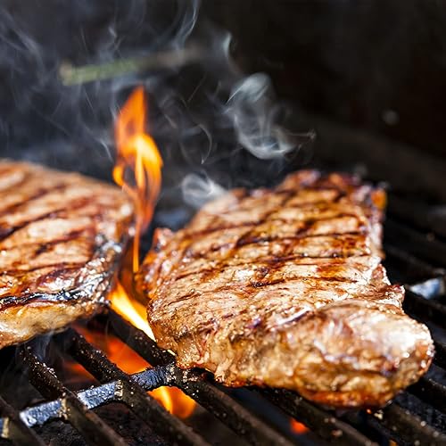 Miniatura 6 de DELSbbq Rejillas de hierro fundido y kit de piezas de parrilla de acero inoxidable para parrillas Charbroil Performance 4 quemadores 463376017