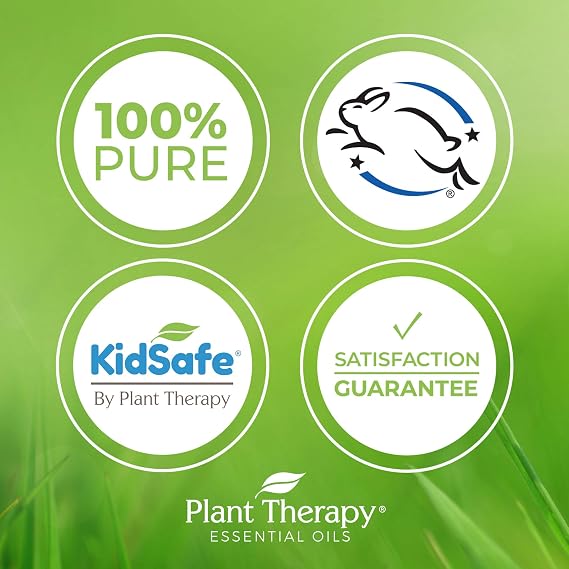 Plant Therapy Apricot Kernel Carrier Oil 1 Gal. A Base Oil for Aromatherapy, Essential Oil or Massage Use