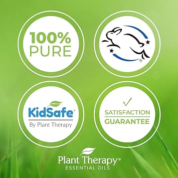 Plant Therapy Apricot Kernel Carrier Oil 1 Gal. A Base Oil for Aromatherapy, Essential Oil or Massage Use