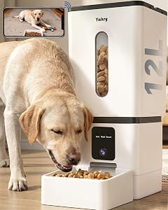 Top-Rated Programmable Pet Feeder — Best Budget Pick