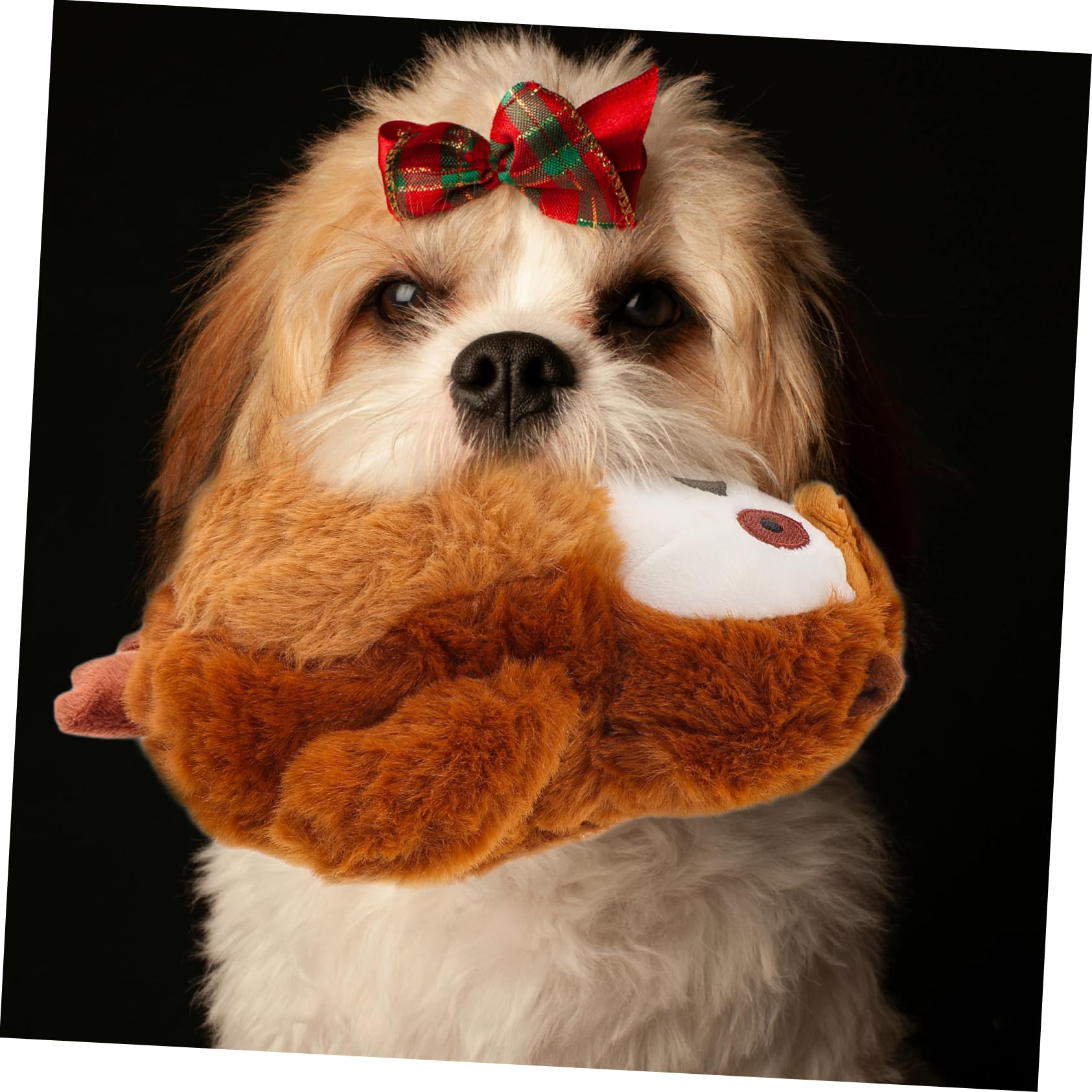 GALPADA Giocattolo Per Cane Forma Di Gufo Giocattolo Che Squittisce Imbottito Da Masticare Per Cani Di Piccola Cuccioli e Animali Domestici