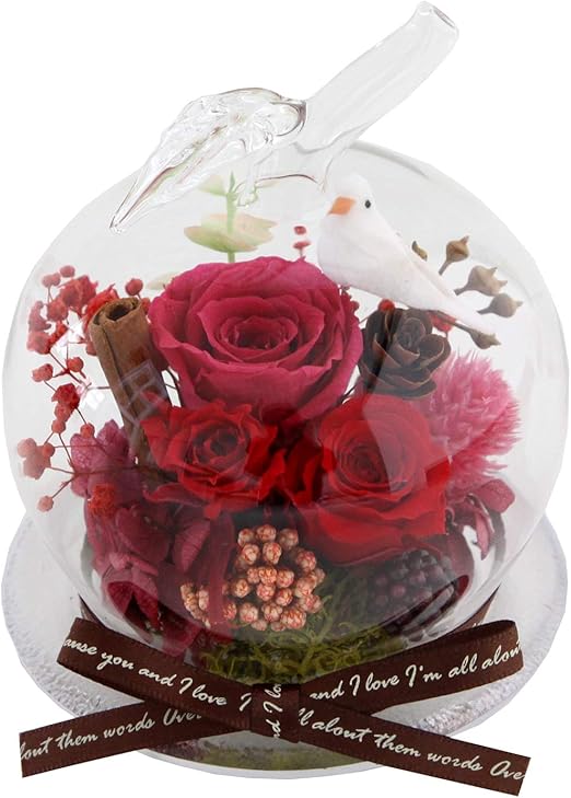 Amazon 花由 プリザーブドフラワー アレンジメント 幸運のモチーフ付 ガラスドーム りんご マケプレお急ぎ便 プリザーブドフラワー オンライン通販