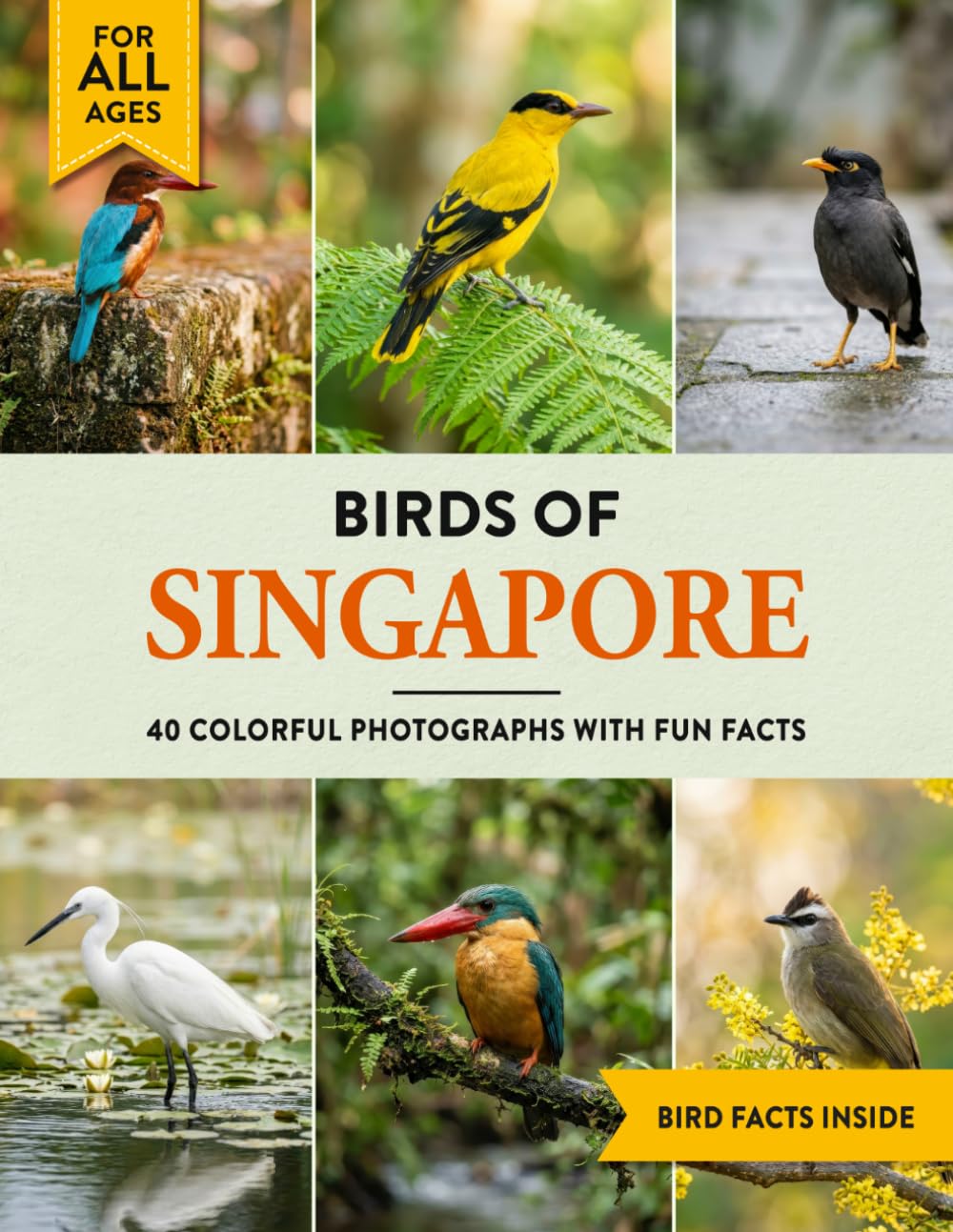 Birds of Singapore: A Birdwatching Picture Book with Fun Facts and Photography for Kids, Adults & Birders