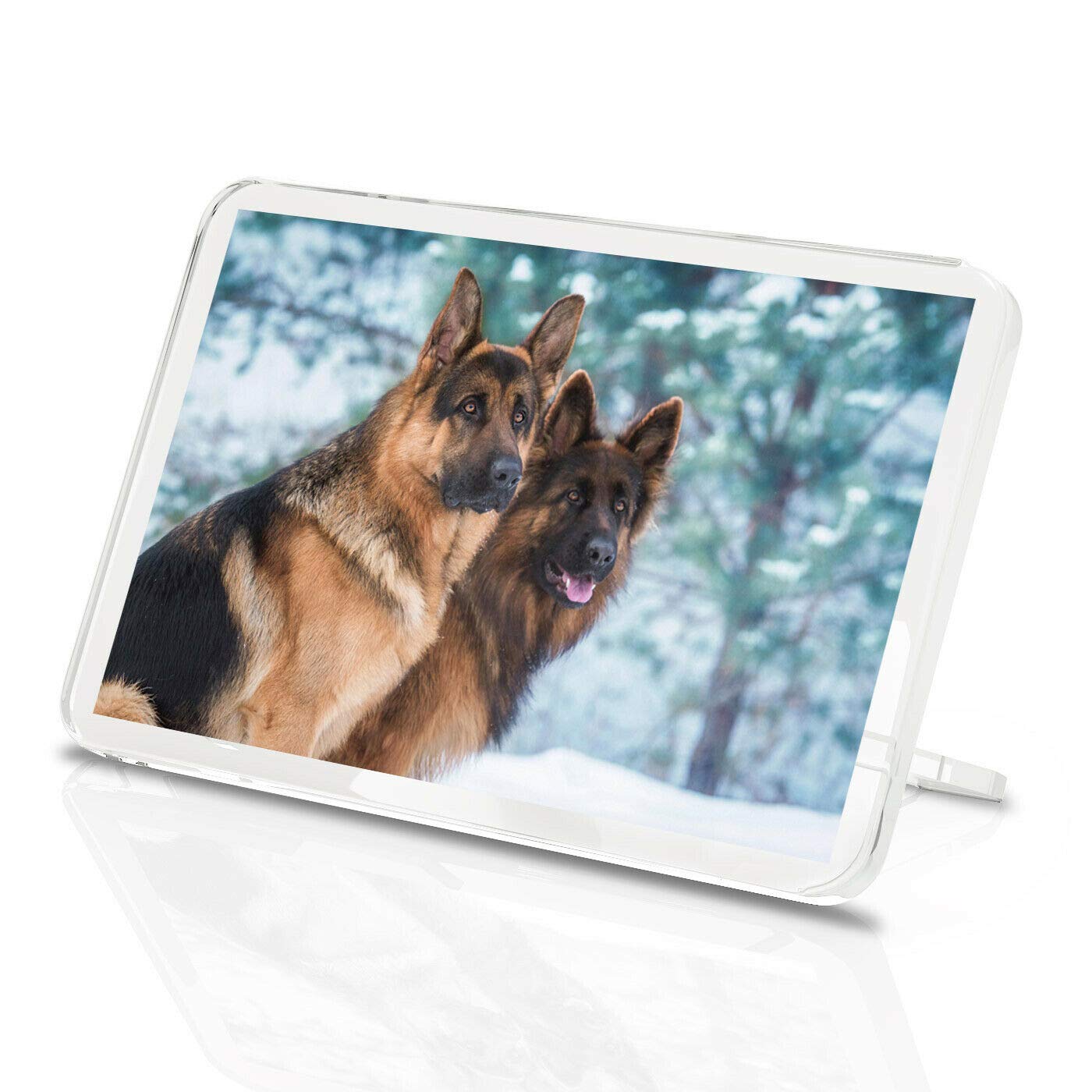 Destination Vinyl Magnets Multicolor German Shepherd Dogs Classic Fridge Magnet - Puppy Alsatian #15520