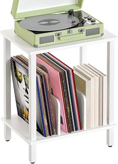HOOBRO Soporte para Tocadiscos de 2 Niveles, Mesa para Tocadiscos de Vinilo de Estilo Moderno, con Separadores, para 100 Discos y CD, Mesa Auxiliar para Salón, Blanco EWT05RS01
