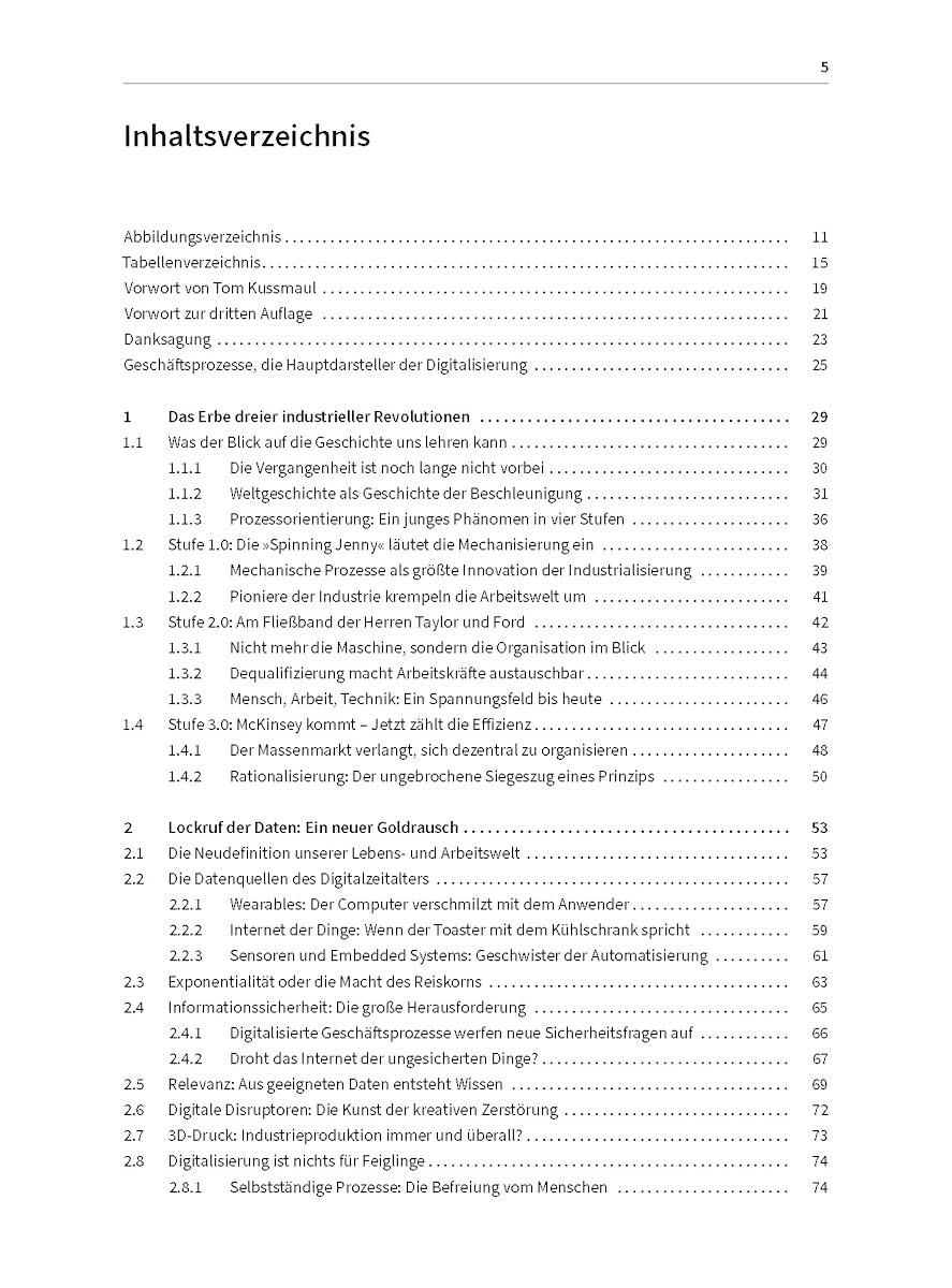 Prozessoptimierung 5.0: Die KI-Revolution als Chance nutzen (Haufe Fachbuch)