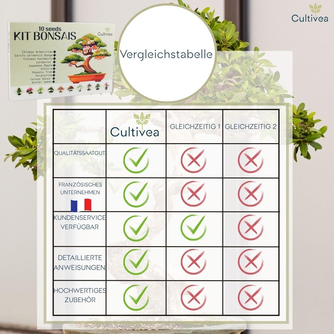 CULTIVEA® Bonsai Anzuchtset – 10 Bäume zum Selbst Anpflanzen – Komplettes Bonsai Starter Kit mit Samen, Töpfen & Werkzeug – Bonsai Anzucht Set für Anfänger – Geschenkidee für Gartenfreunde