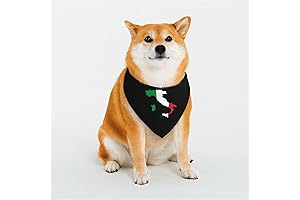 Italian Flag Map Dog Bandana: Patriotic Pet Scarf for Showcasing National Pride