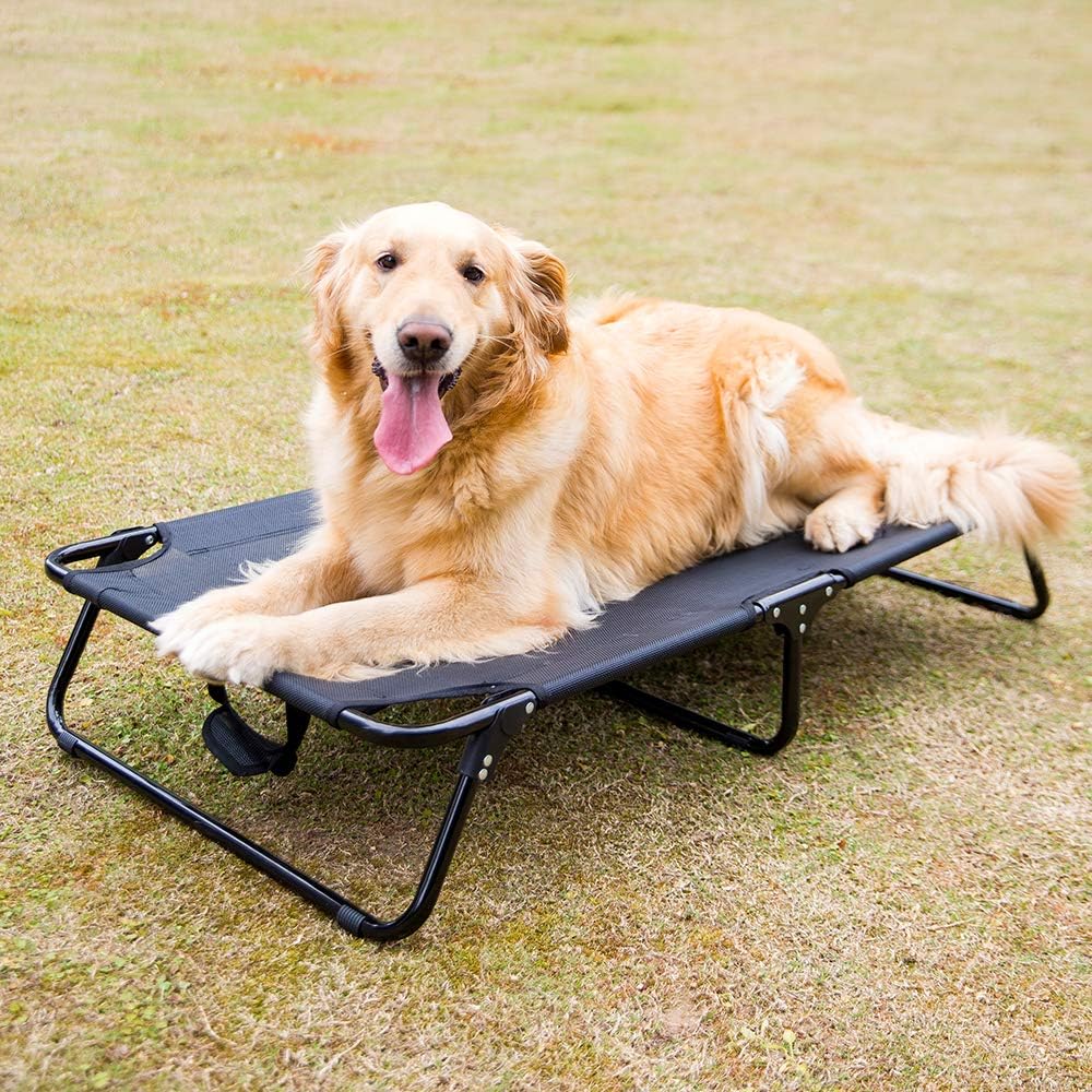 folding elevated dog bed