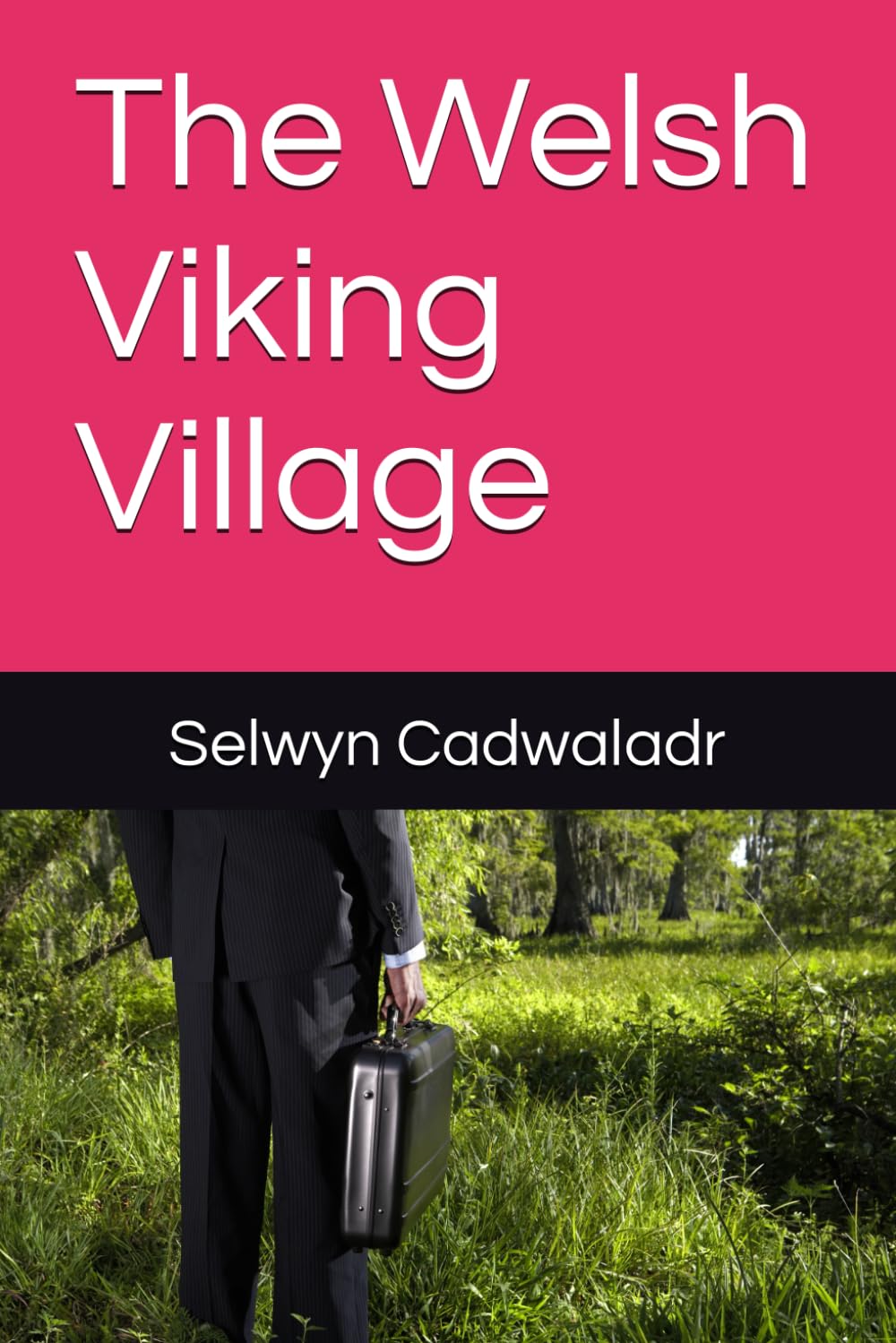 The Welsh Viking Village
