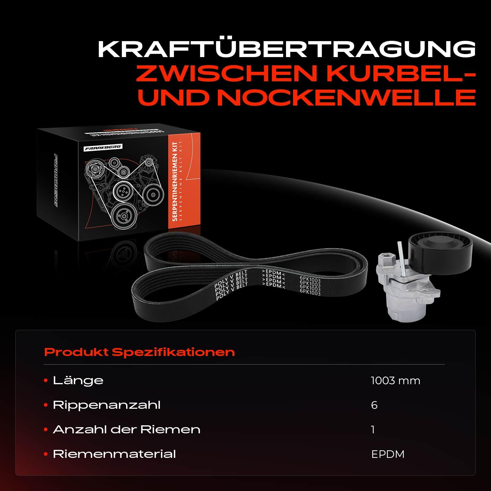 Frankberg Kit cinghia di distribuzione K026PK1003