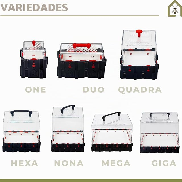 Foto 6 de 7 de Anthouse.es - Caja de Forrajeo para Hormigueros Modulares 3D - QBIK Duo - Terrario Mini Colonias