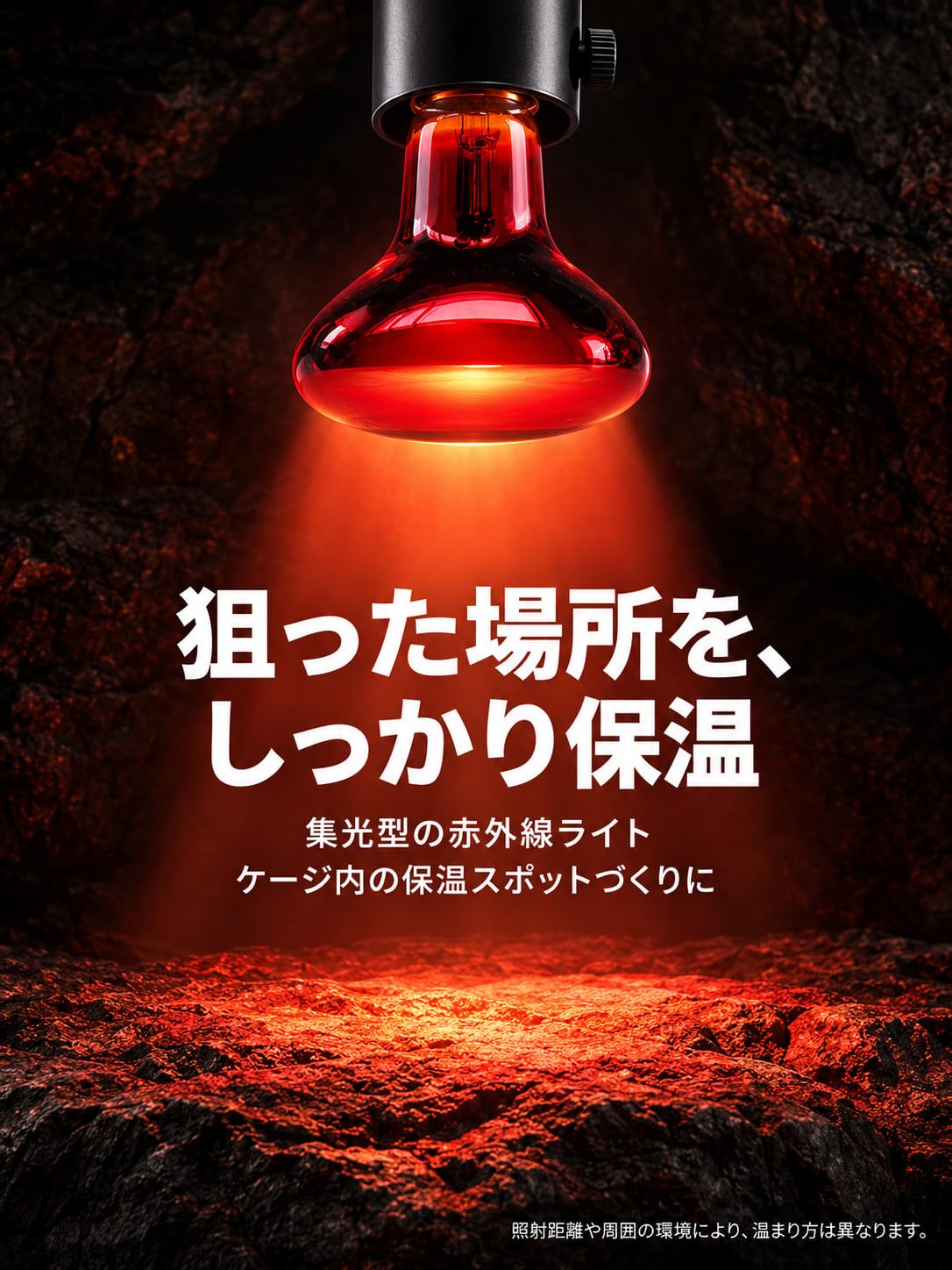Amazon.co.jp: 爬虫類用 赤外線ライト クリップ式ライトソケット付き