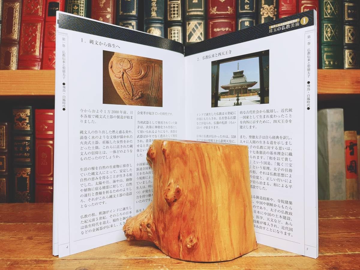 Amazon.co.jp: 定価36960!!中村元全集!! 後世に伝えたい文化遺産 珠玉