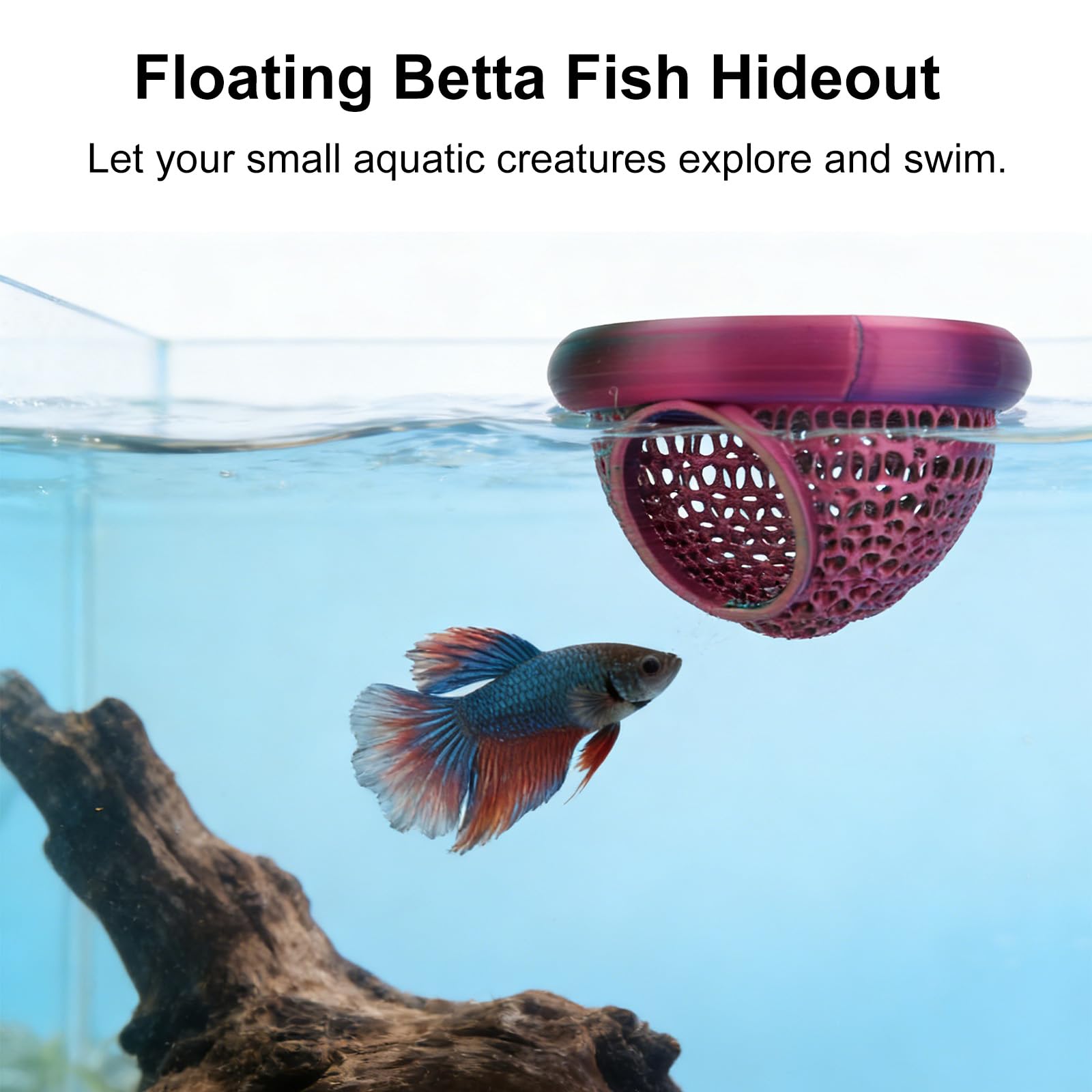Penitue Betta Set Nascondiglio Galleggiante Acquario Foglie Anello Alimentazione Zona Riposo Accessori Decorativi