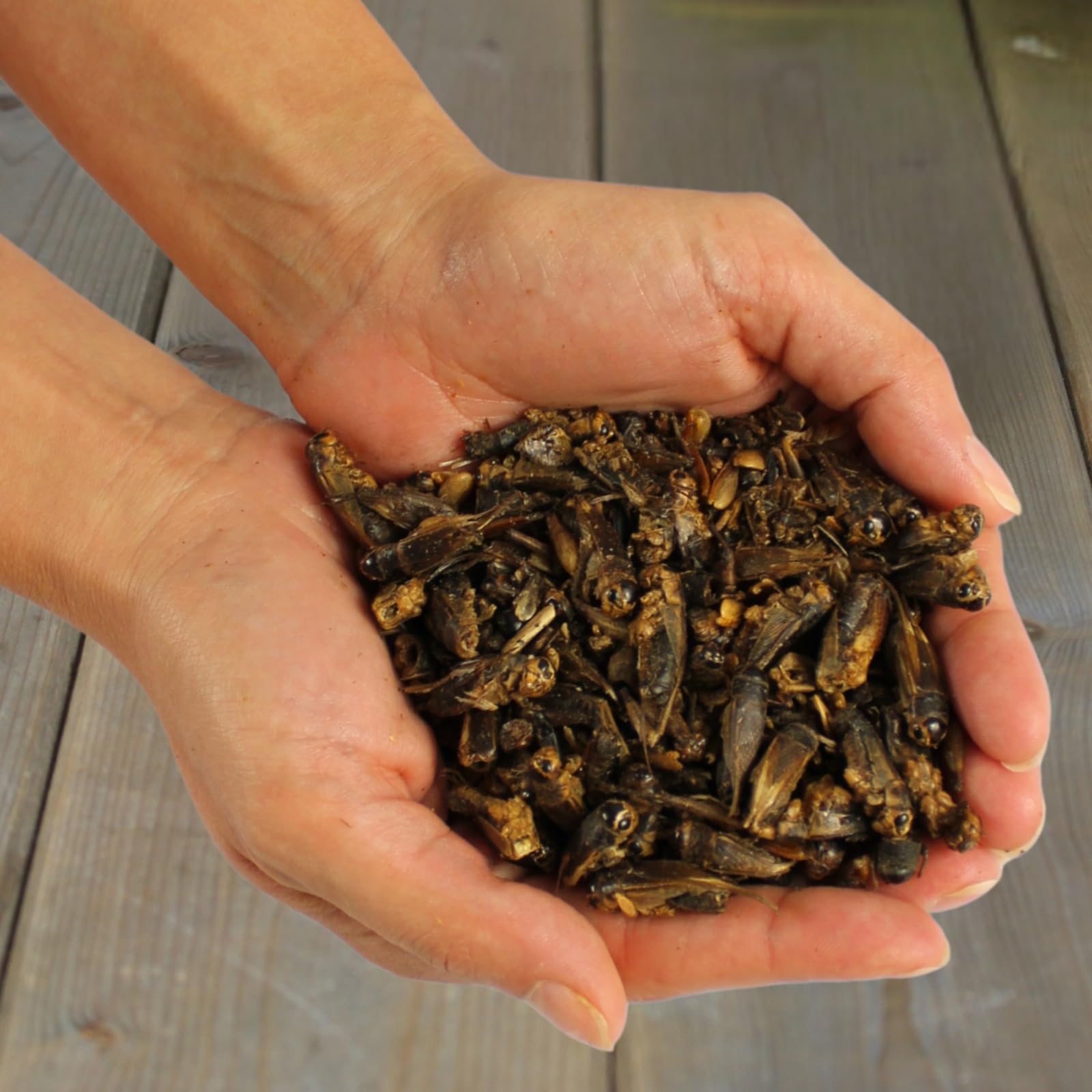 Lyra Pet® 10 kg Heimchen getrocknet Vogelfutter Wildvögel Nager Reptilien | Reich an Proteinen & Mineralien - Nährstoffreiche Ergänzung zum Hauptfutter - Idealer Energiespender - Natürliches Futter
