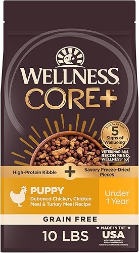 Wellness CORE+ - Alimento seco para cachorros con trozos liofilizados, sin granos, alta proteína, natural, receta de pollo y pavo, (bolsa de 10