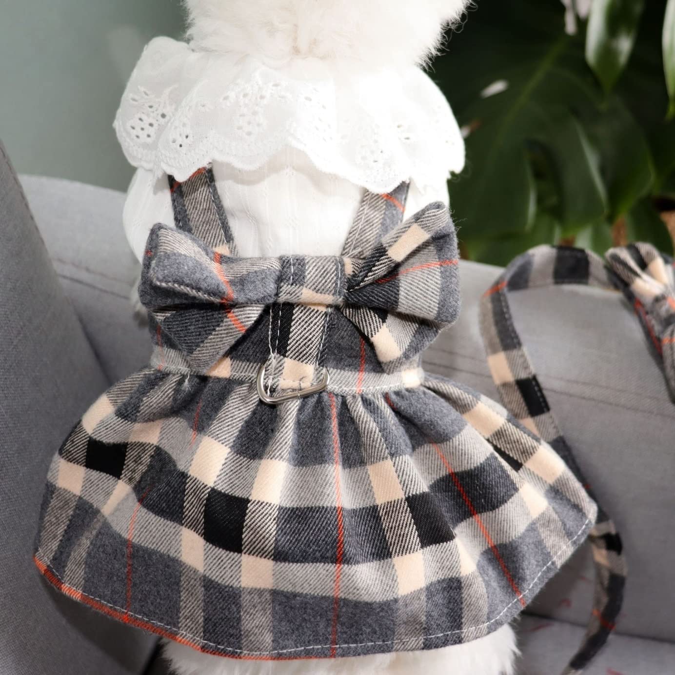 Longe Chien Accessoires De Vêtements pour Chiens Collier De Chien pour Petit Animal Plaid pour Chiens Harnais pour Chien De Taille Moyenne Ceinture Chien(62cm)