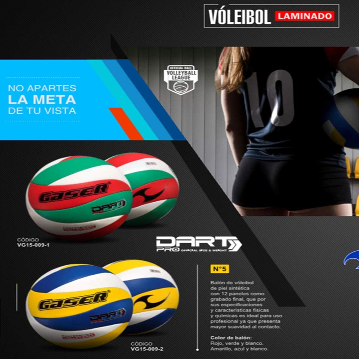 Gaser Volleyball Ball No.5 Laminated Dart