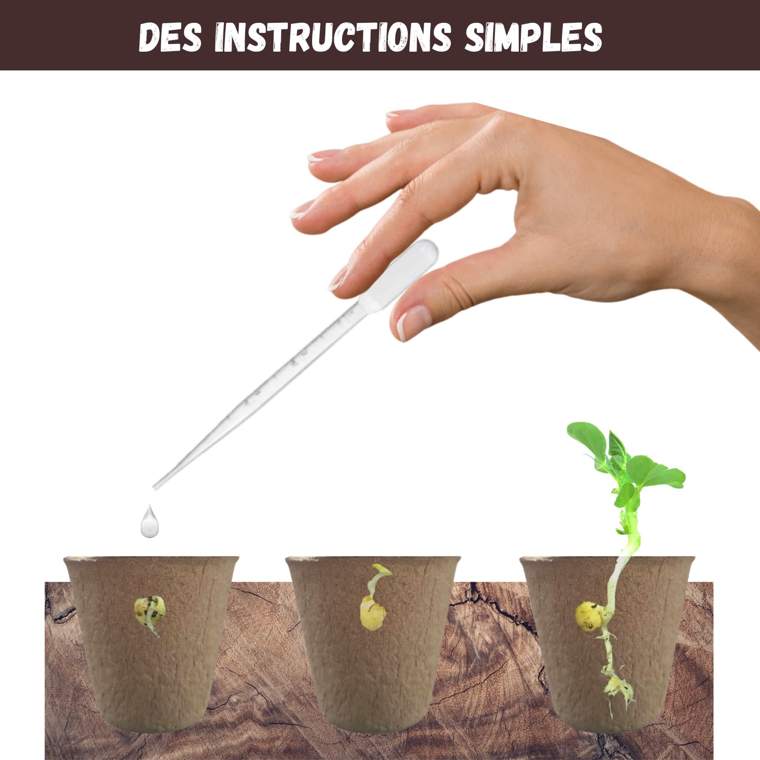 NOPALIA® Kit Bonsái 3 Especies Bio Listo para Crecer con Herramientas Pro (Pinza, Tijeras, Pipeta), Macetas, Tierra y Base Innovadora - Garantía 95% Germinación - Idea de Regalo Zen Navidad Fabricado