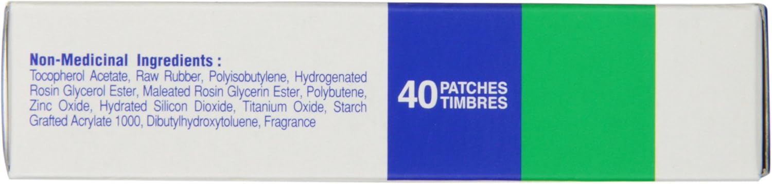Salonpas Pain Relieving Patch - 40 Ea