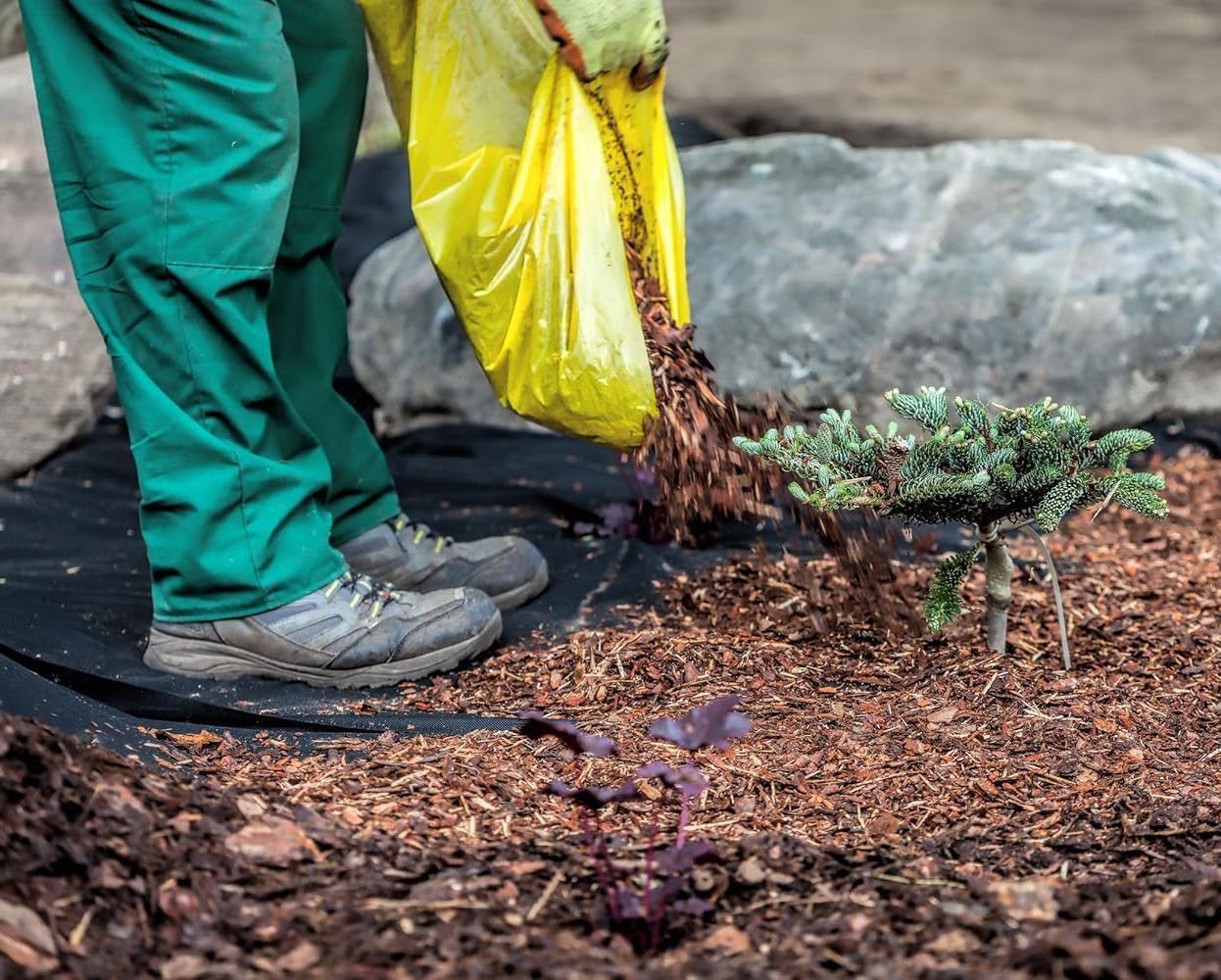 Generico Telo Pacciamatura Contro Le Erbe Infestanti 220g/m² - Resistente allo Strappo e Permeabile all'Acqua - Elevata Resistenza UV - Telo per Orto (10m² (10m x 1m), Muschio)