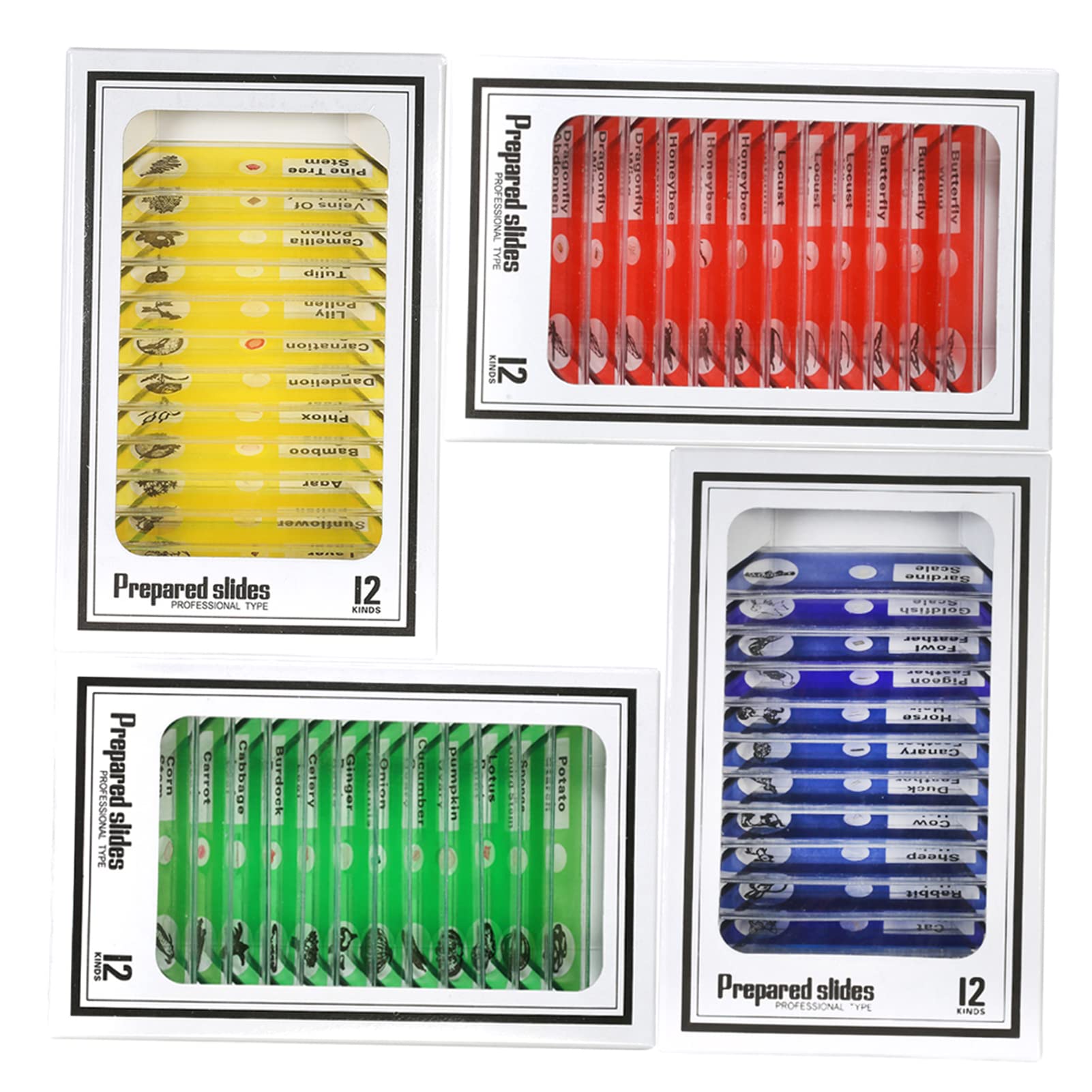 Amazon.co.jp: プレパラート,48pcs / setプラスチック準備顕微鏡 