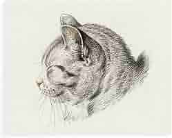 油絵　専用　向きを変える猫　 縦大きめ45.5cm 猫の油絵F0ゼロ号原画 絵画 mimoza 通販 14645644｜Creema(クリーマ)