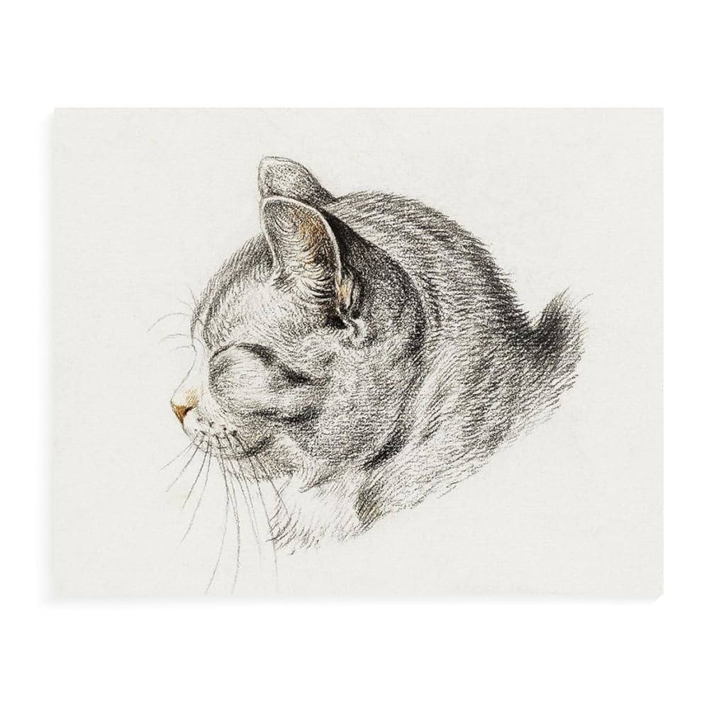 Amazon | 猫の頭 数字キットによる絵画 数字油絵 スケッチ