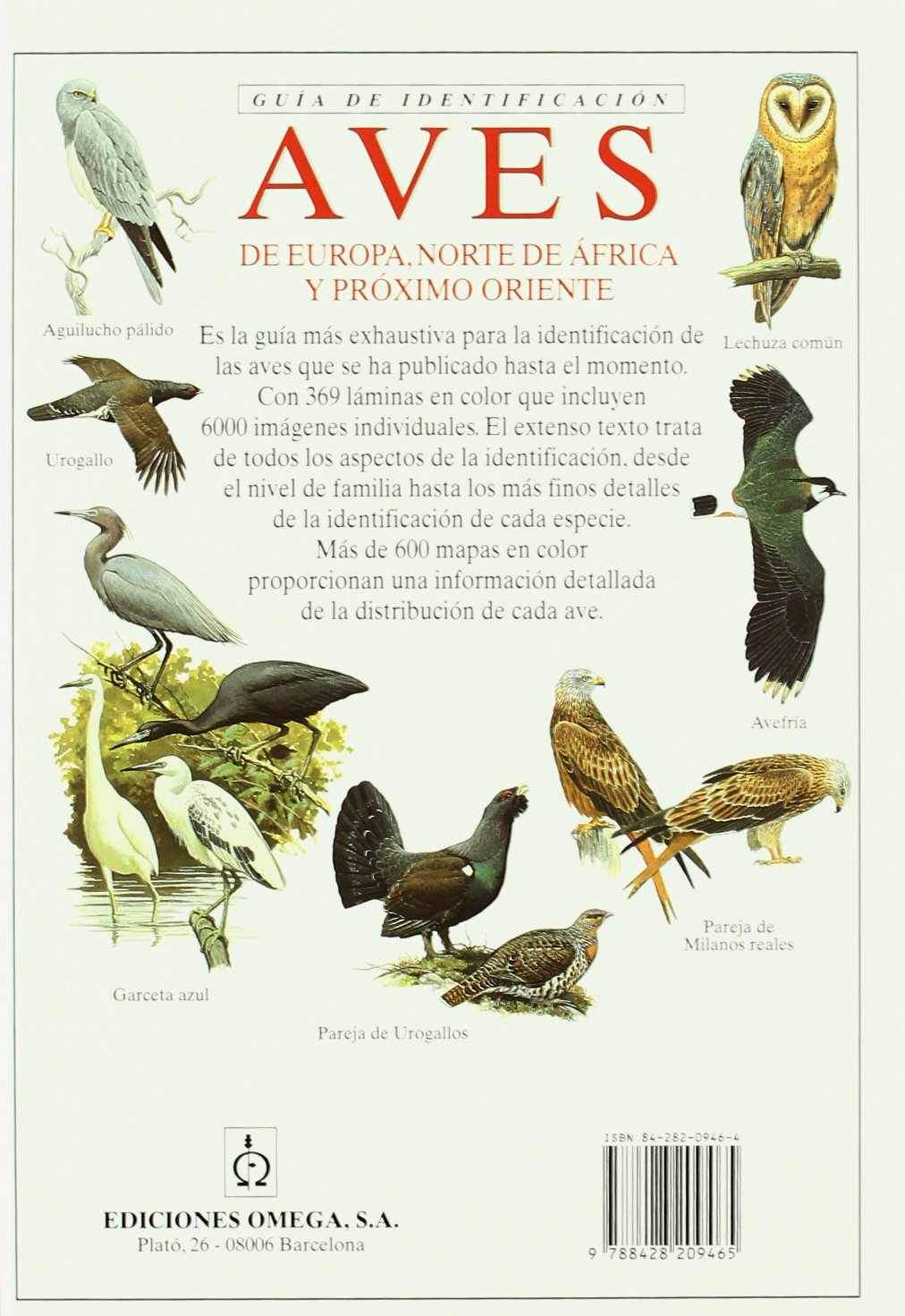 AVES DE EUROPA. GUIA DE IDENTIFICACION (GUIAS DEL NATURALISTA-AVES)