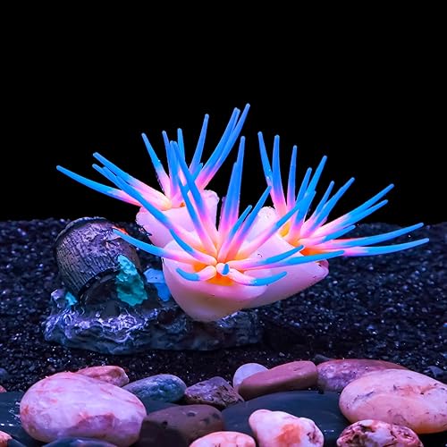 Decoraciones dinámicas de acuario que brillan en la oscuridad desata efectos visuales con gel de sílice suave, luces cambiantes y coloridos adornos