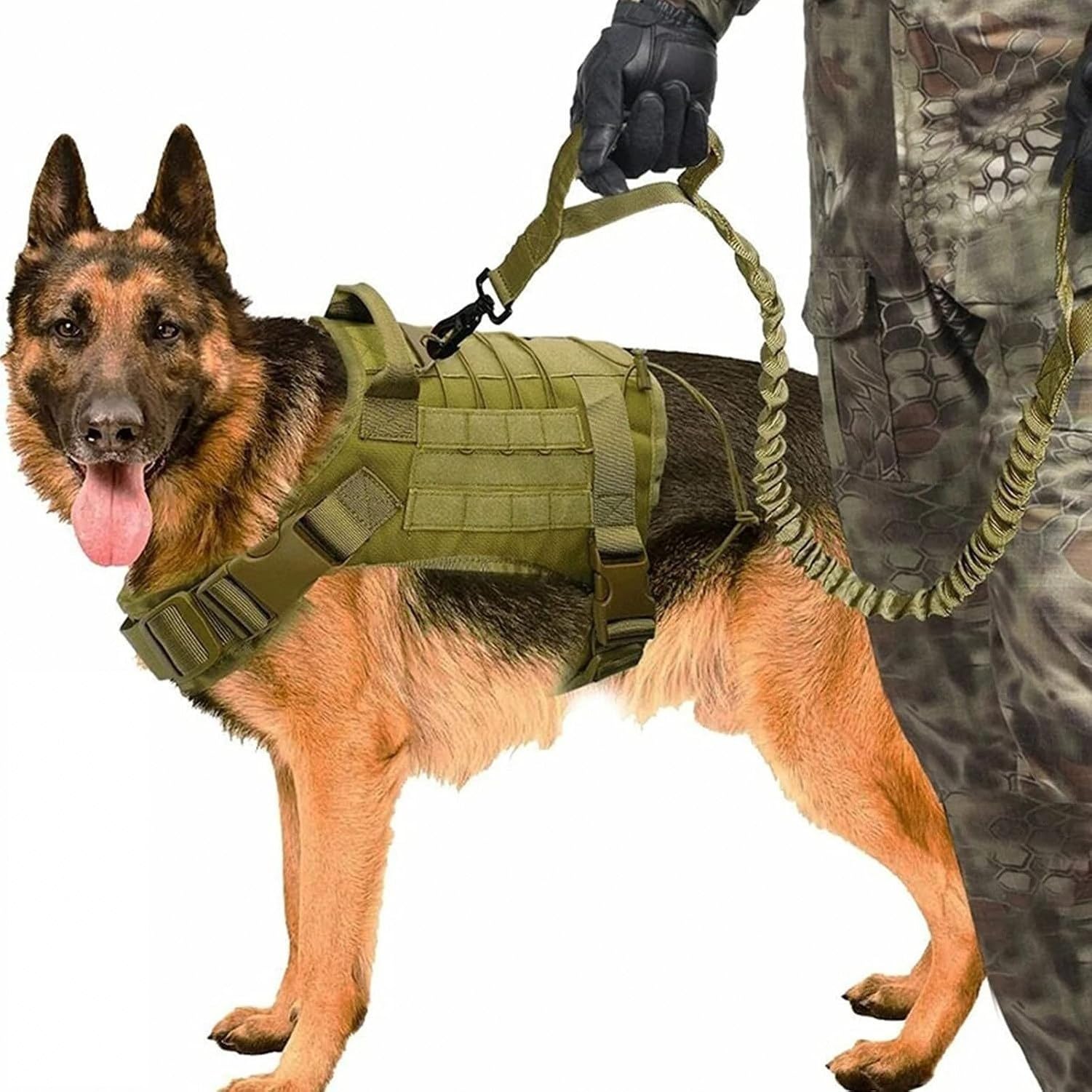 Chaleco táctico para Perro con Correa, arnés de adiestramiento para Paseo y Senderismo, Panel de Malla con Molle y Cierre de Gancho y Bucle, Talla M, co, Green, L