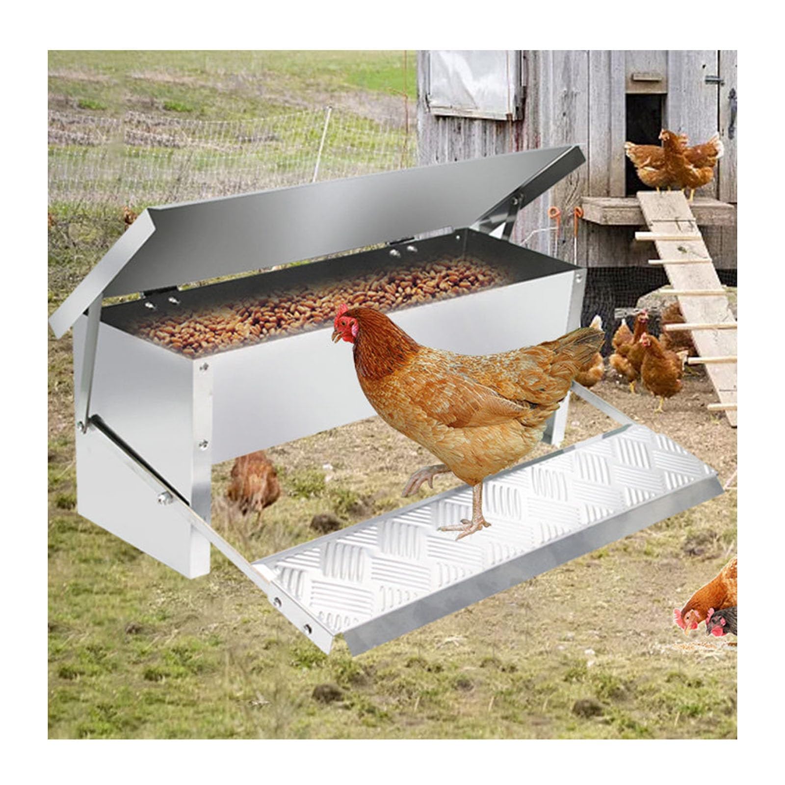 Comedero Automático A Pedal Para Gallinas, Resistente A La Lluvia Y A Roedores, Para Gallinas Enanas, Gallos Y Faisanes En Gallinero Exterior
