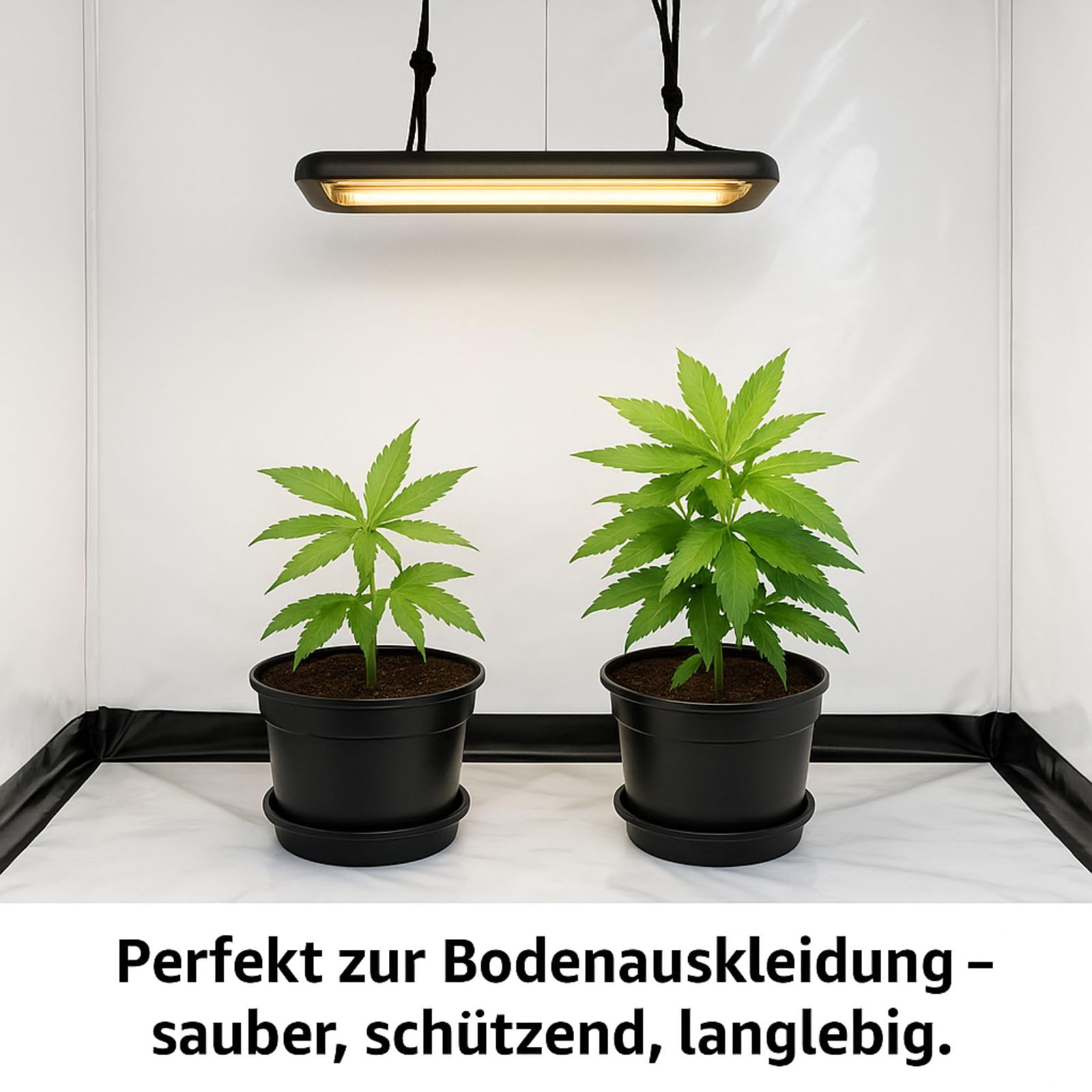 Weedness Reflektionsfolie 25m x 2m 70 Mikrometer Growboxen Anbau Indoor Pflanzen Licht