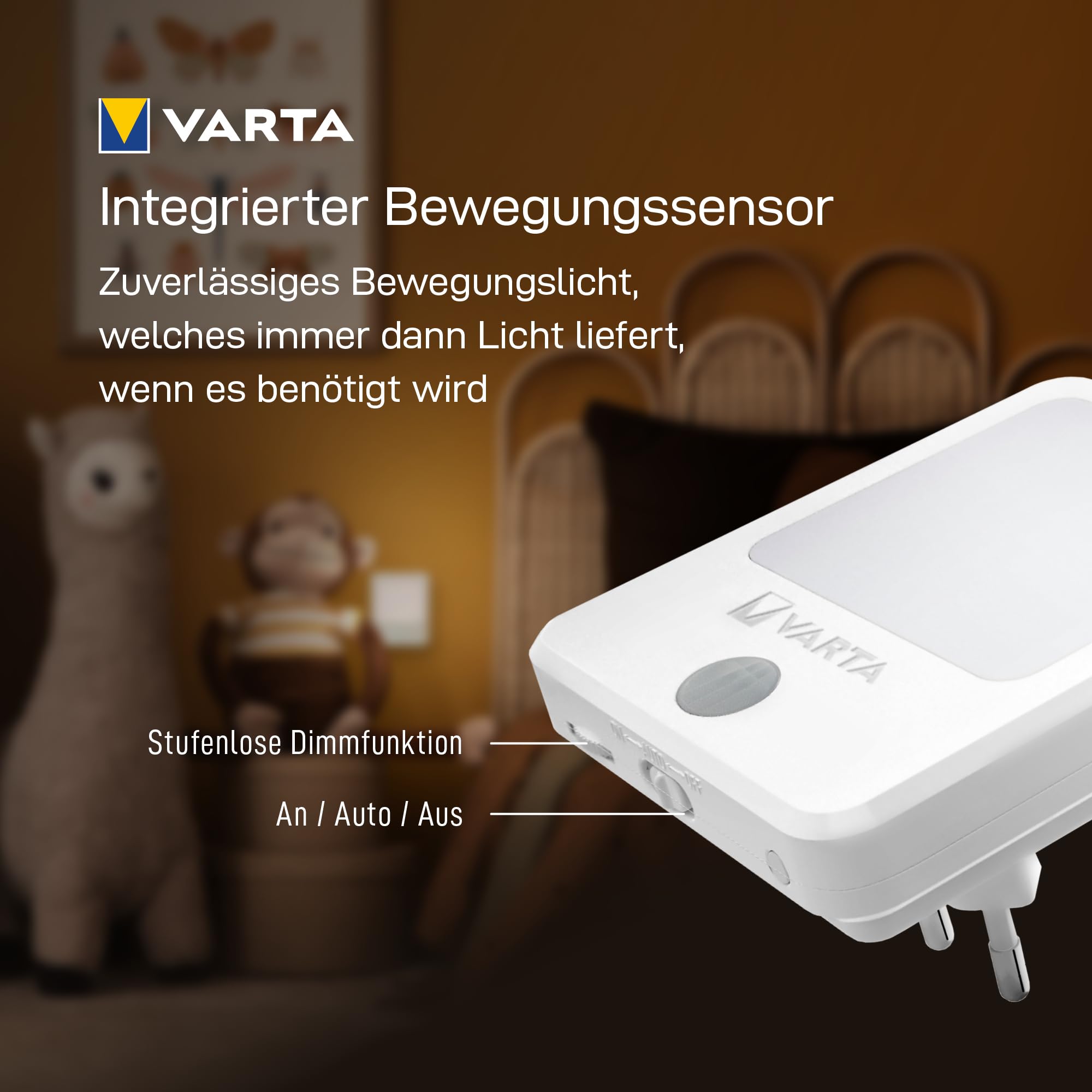 Motion Sensor Light