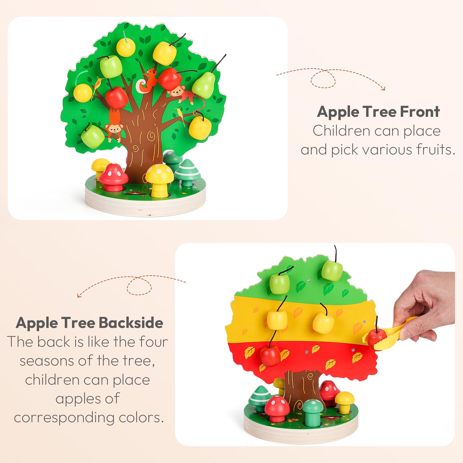 Woodtoe - Sensorisches Holzspielzeug für Kleinkinder im Alter von 3, 4, 5, 6 Jahren, Magnetisches Apfelbaum-Spielzeug, Farbklassifizierung und passendes Spiel, Lerngeschenk