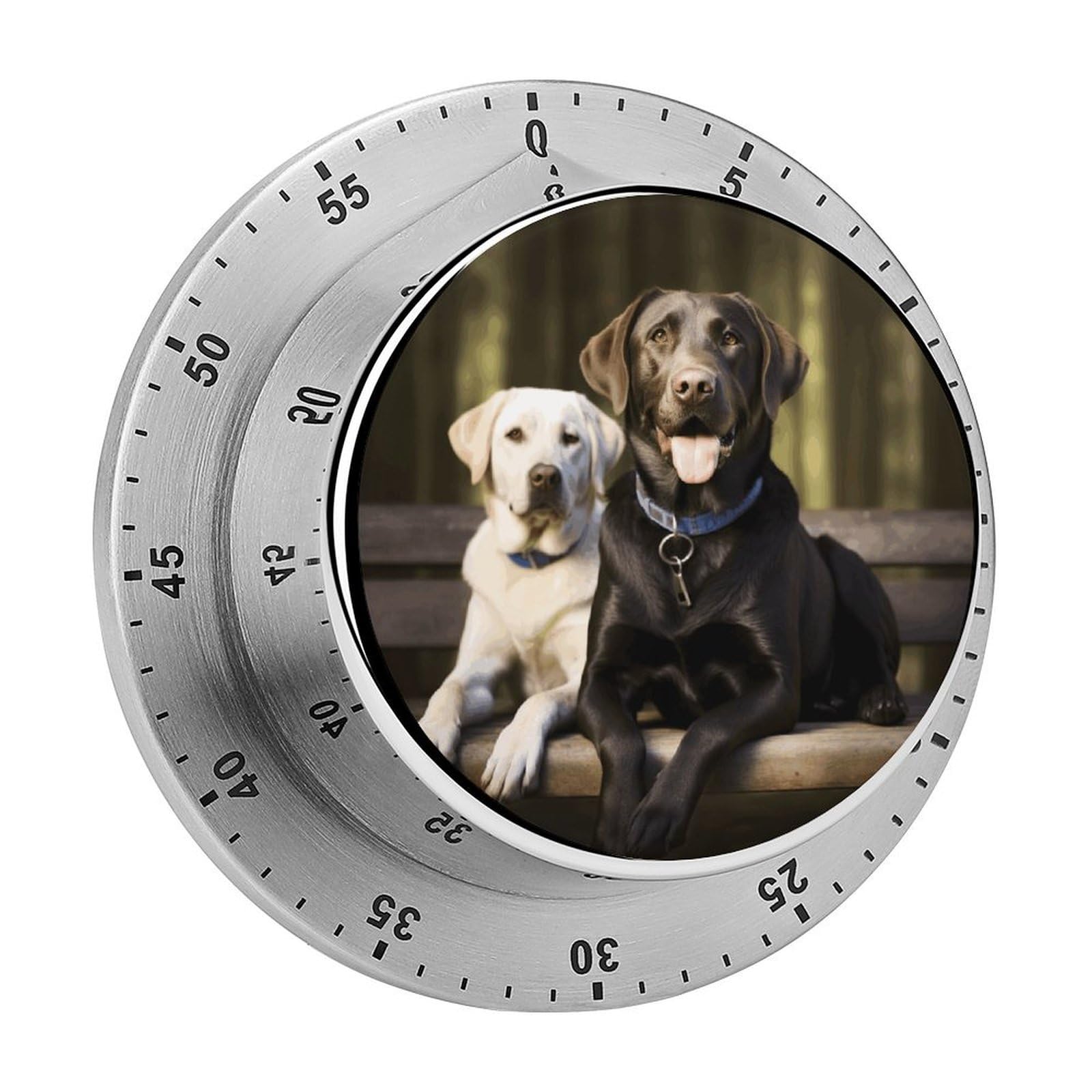 Labrador Timers Adsorbable Stainless Steel Kitchen Timer Loud 60 Minute Visual Timer Portable Manual Countdown Timers Alarm Clock Time Management Tool for Home Work