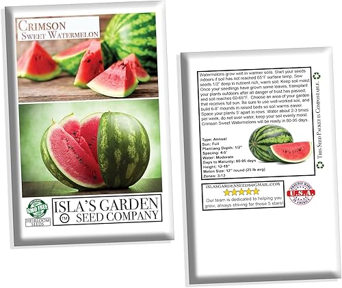 Miniatura 4 de Semillas de sandía dulce carmesí para plantar, más de 150 semillas tradicionales por paquete, semillas de jardín de Isla (semillas de jardín de