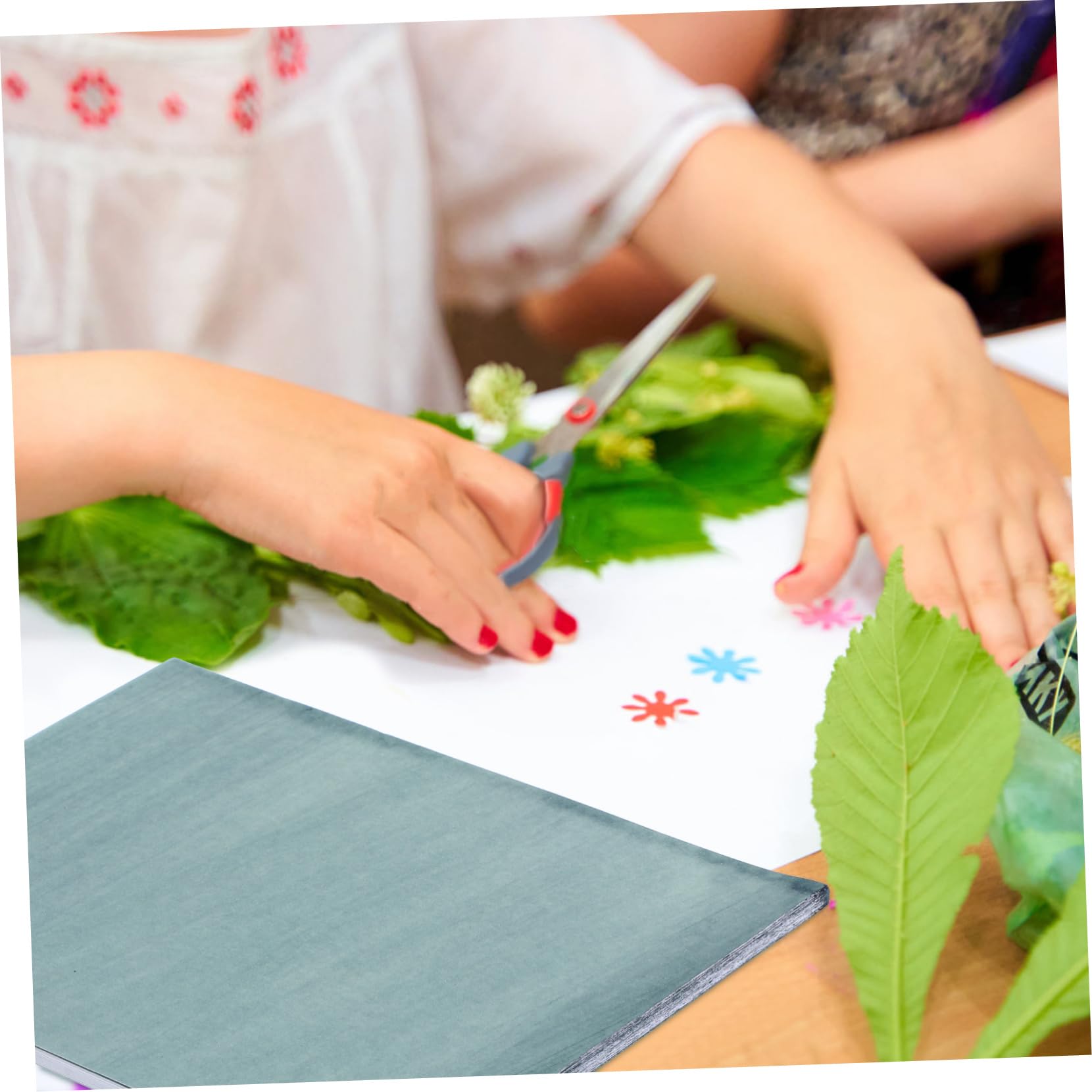 ARTIBETTER 32 Sheets Sun Activated Printing Paper Cyanotype Supply with Pressing Panel for DIY Art Projects for Photograms Plants and Creative Media