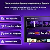 Roku Bâton de Diffusion en continu - 8