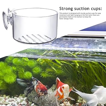 Amazon.co.jp: 水草ポット ガラスポット - 水族館の植物カップ