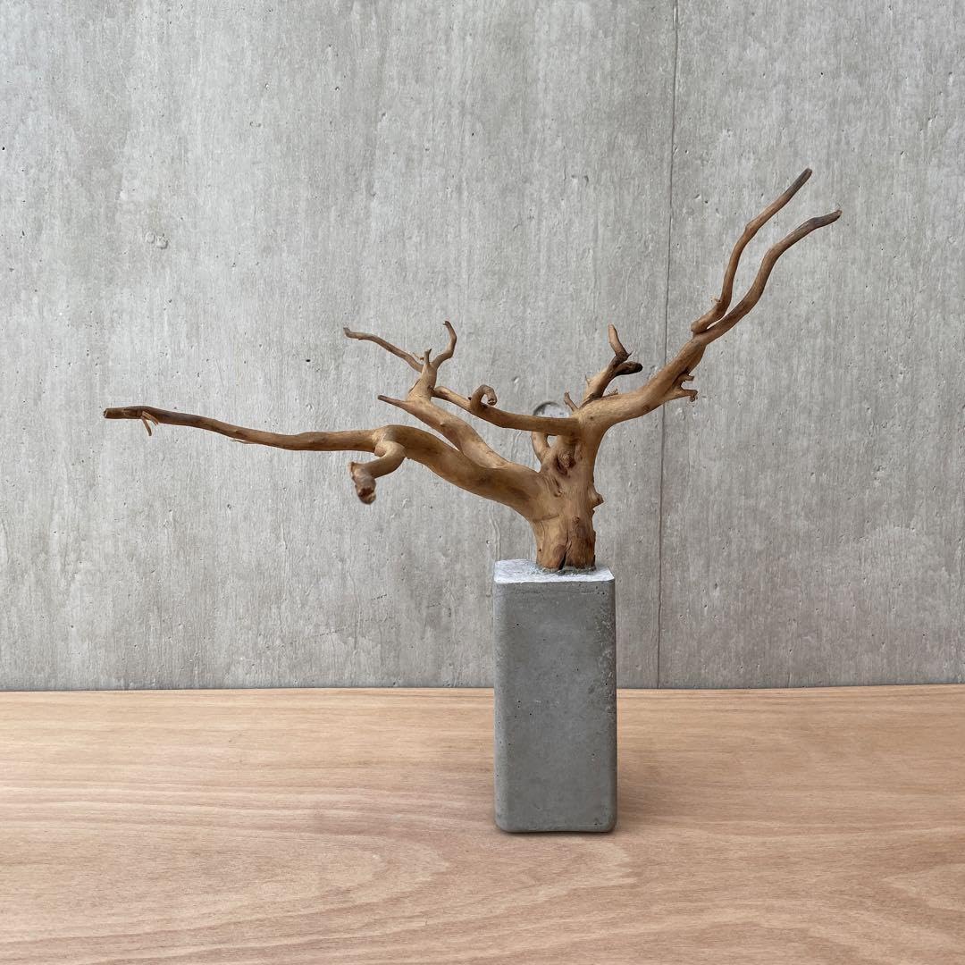 コンクリート盆栽 流木オブジェ ディスプレイ 高級感 スタイリッシュ バオバブ Amazon.co.jp: コンクリート盆栽 流木オブジェ ディスプレイ